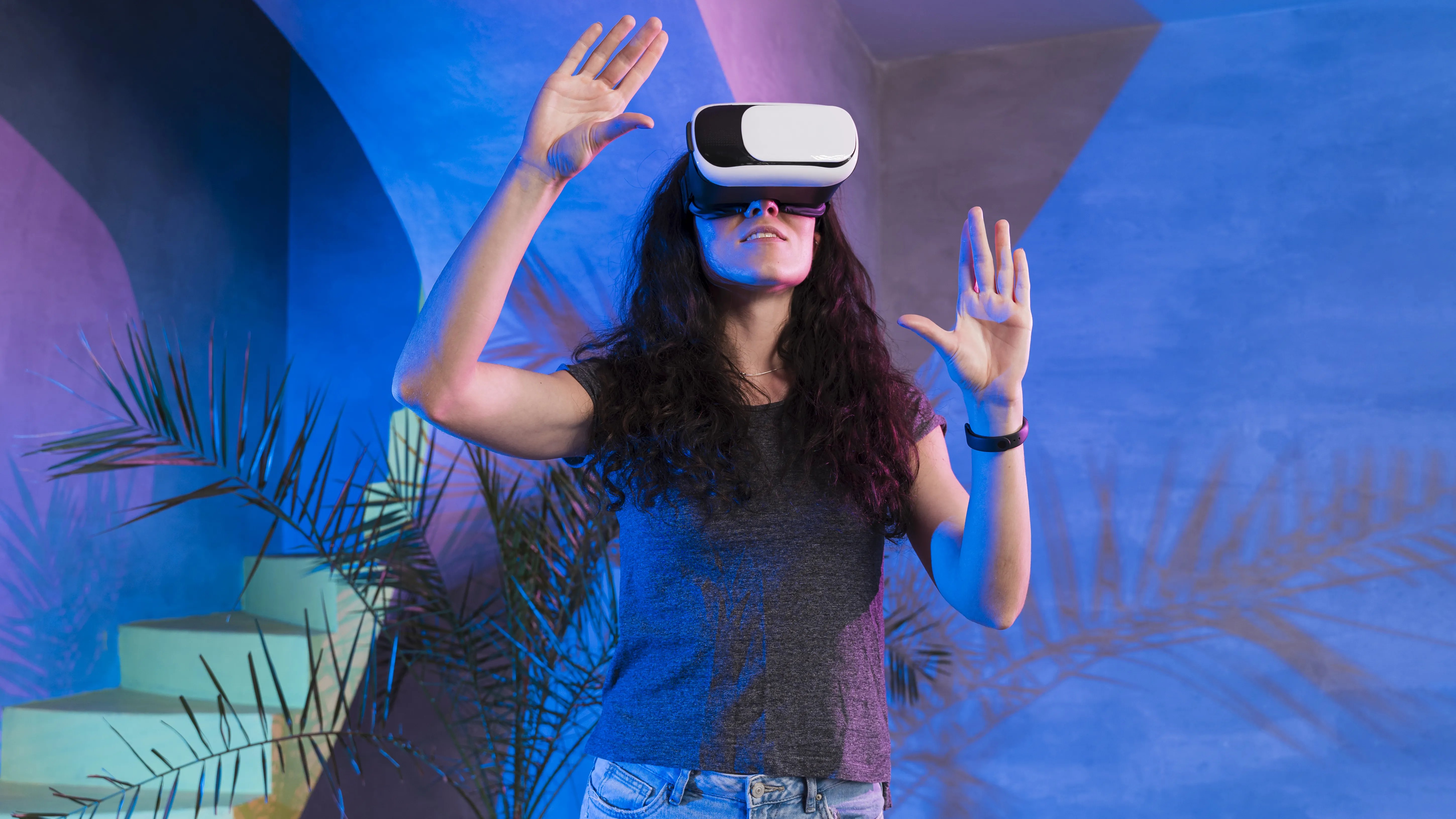 Entertainment software development